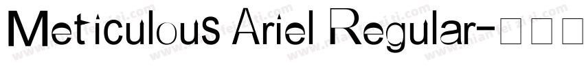 Meticulous Ariel Regular字体转换